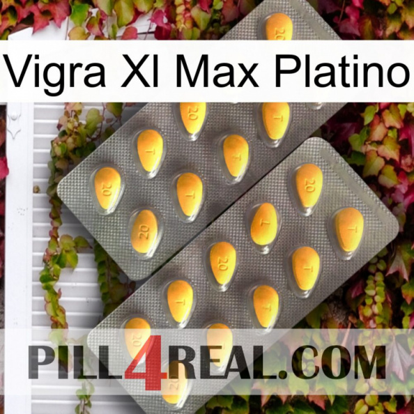 Vigra Xl Max Platinum cialis2.jpg